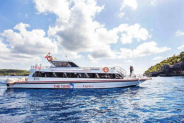 Fast Boat - The Tanis - 4