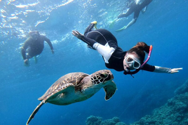 snorkeling trip - 2